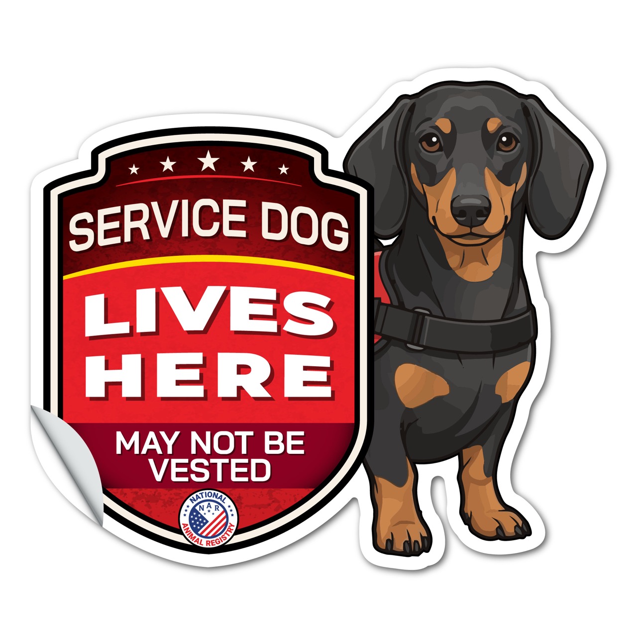 Service Dog Lives Here Dachshund Sticker – Working Dog Warning Decal – May Not Be Vested – Weatherproof Vinyl